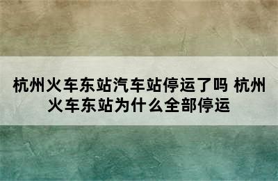 杭州火车东站汽车站停运了吗 杭州火车东站为什么全部停运